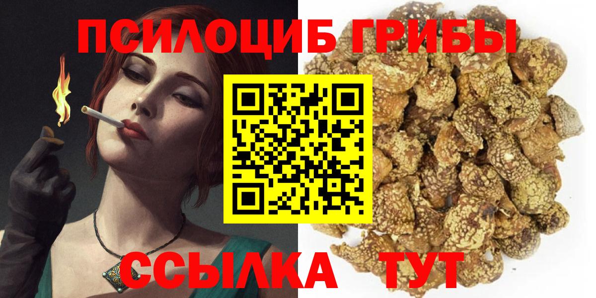 Псилоцибиновые грибы прущие грибы  Вход с VPN  дарнет шоп  Галлюциногенные грибы Magic Shrooms  Кудымкар 